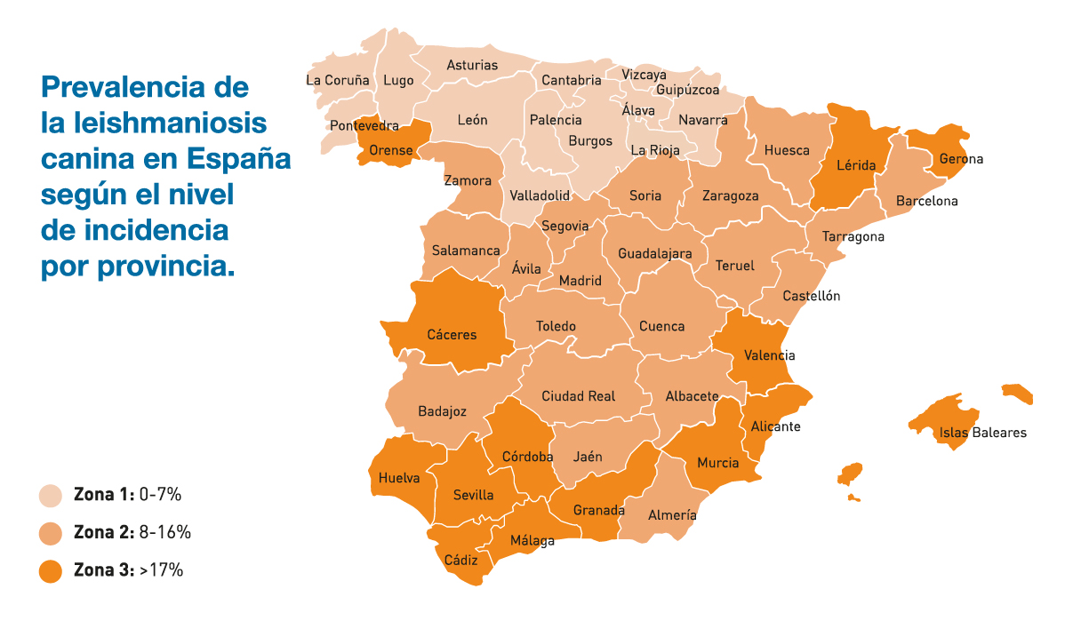 Infografía sobre LeishmaniosisMapa de prevalencia en España