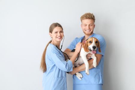 4. ¿Con qué frecuencia llevas a tu perro al veterinario?