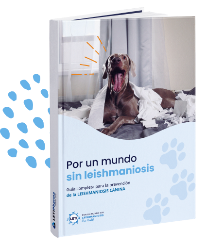 Guía para la prevención de la leishmaniosis canina