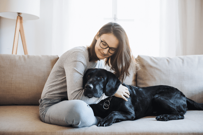 Cuidados para perros con leishmaniosis, ¿cómo puedo ayudar a mi perro?​ 