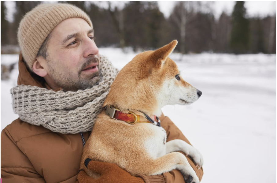 Como a leishmaniose afeta o sistema imunitário do meu cão?