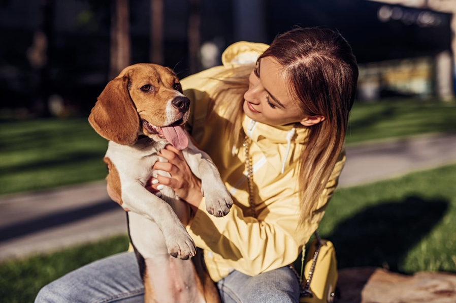 O meu cão tem leishmaniose:  5 dicas para viver com a doença