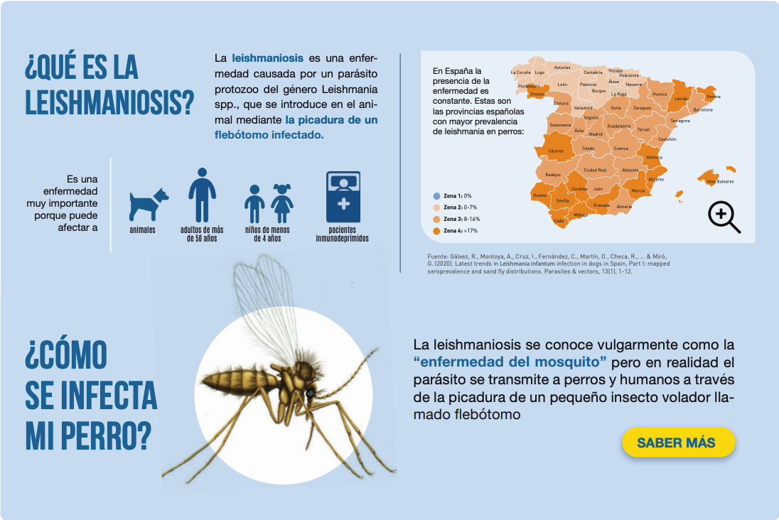 infografia