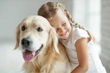 Leishmaniasis en perros: ¿existe riesgo de contagio? 