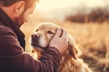 Leishmaniosis canina: una zoonosis que puede afectar tanto al hombre como a los animales
