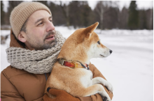 Como a leishmaniose afeta o sistema imunitário do meu cão? 